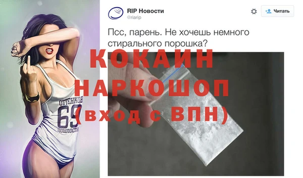 дурь Бородино