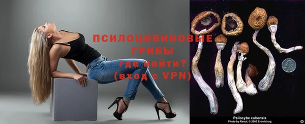 дурь Бородино