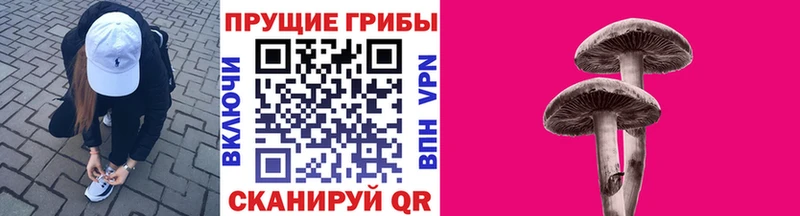Псилоцибиновые грибы Magic Shrooms  Купить закладки  Видное 